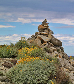 在线DDOS压力测试网页端