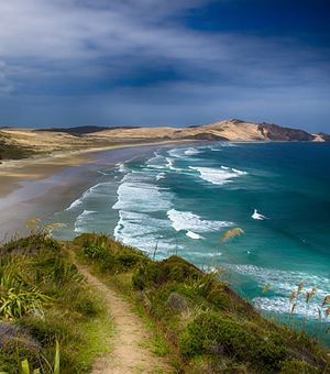 免费ddos在线攻击